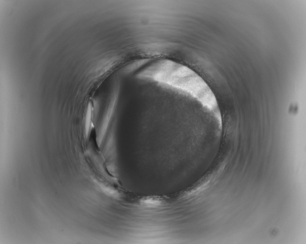 X0000093750076200711131134