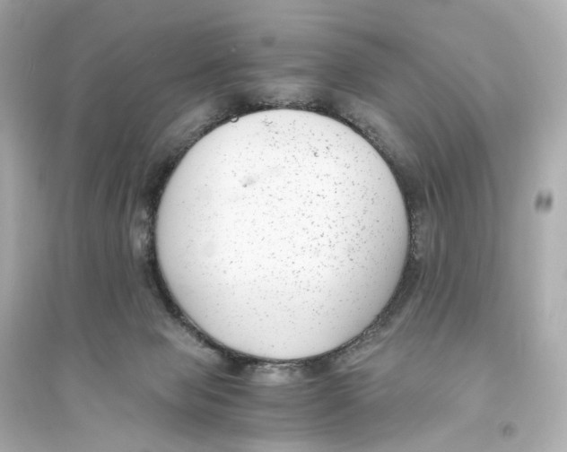 X0000093750077200711131134