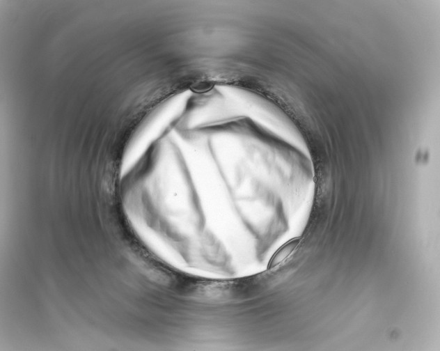 X0000093750078200711131134