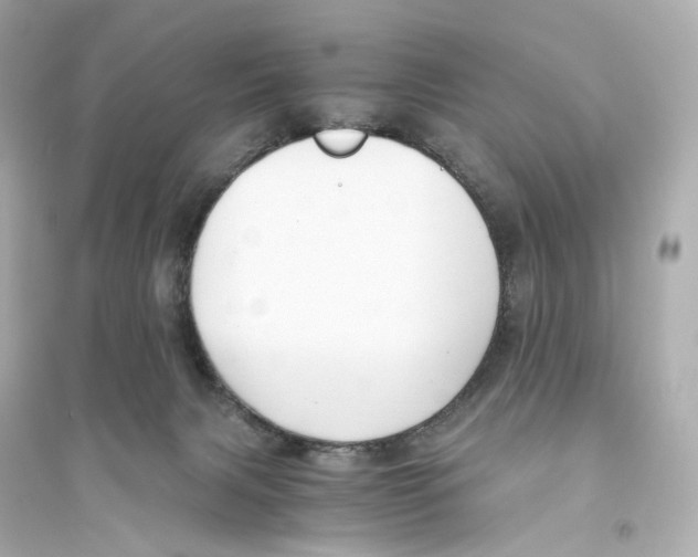 X0000093750079200711131135