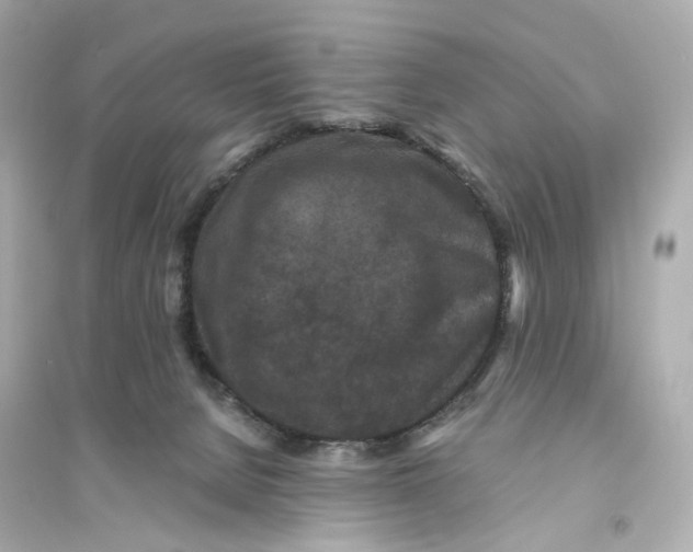 X0000093750080200711131135