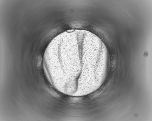 X0000093750081200711131135