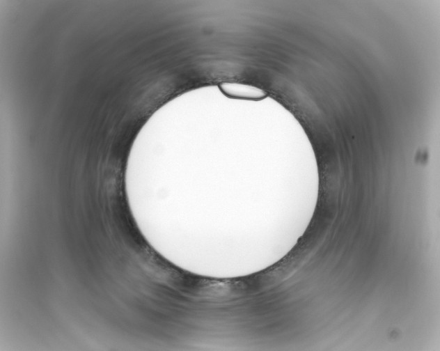 X0000093750083200711131135