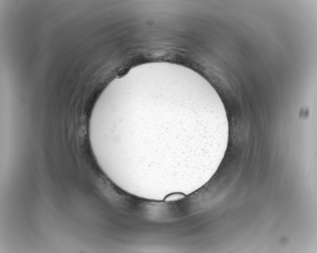 X0000093750085200711131135