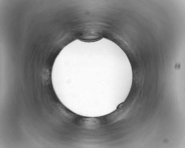 X0000093750087200711131135