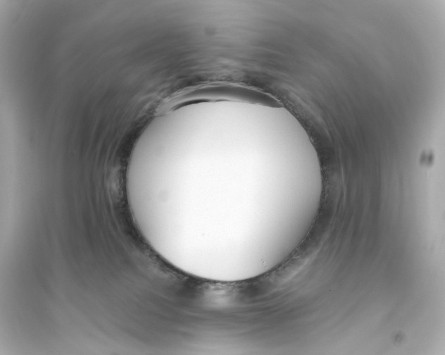 X0000093750088200711131135