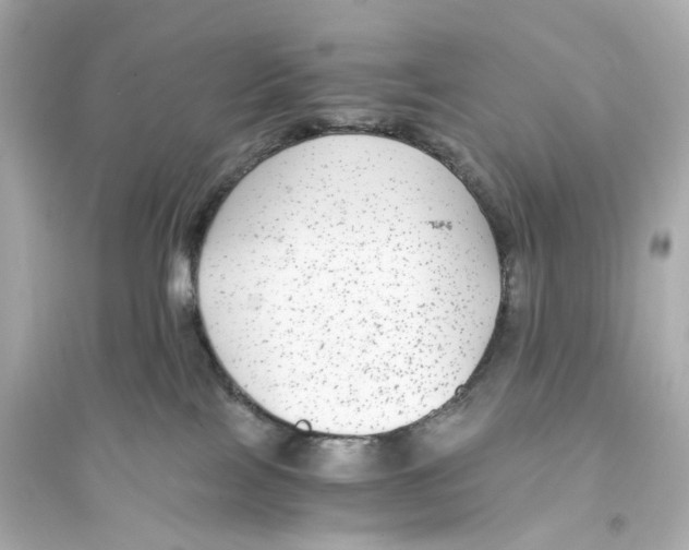 X0000093750089200711131135