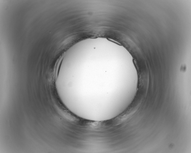 X0000093750092200711131135