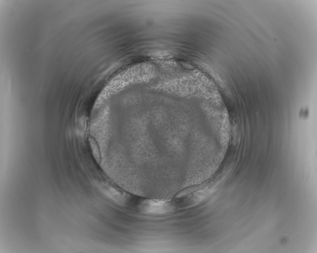 X0000093750093200711131135