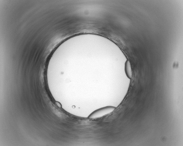 X0000093750098200711131134