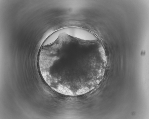 X0000093750099200711131134