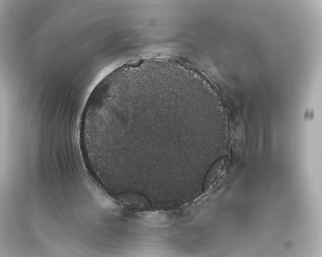 X0000093750100200711131134