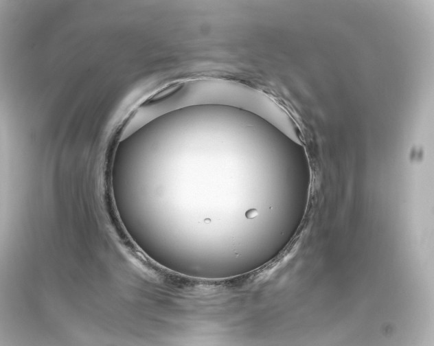 X0000093750101200711131134