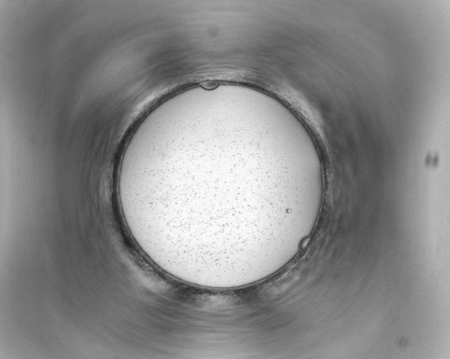 X0000093750107200711131134