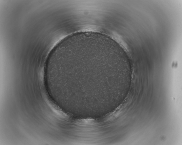 X0000093750108200711131134