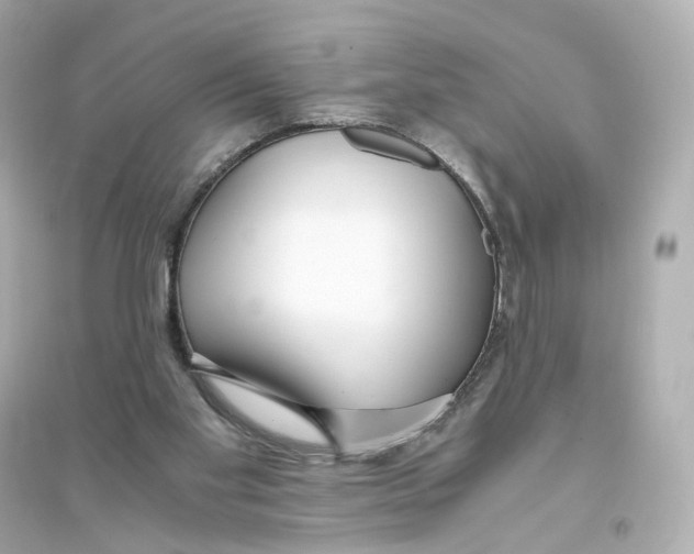 X0000093750109200711131134