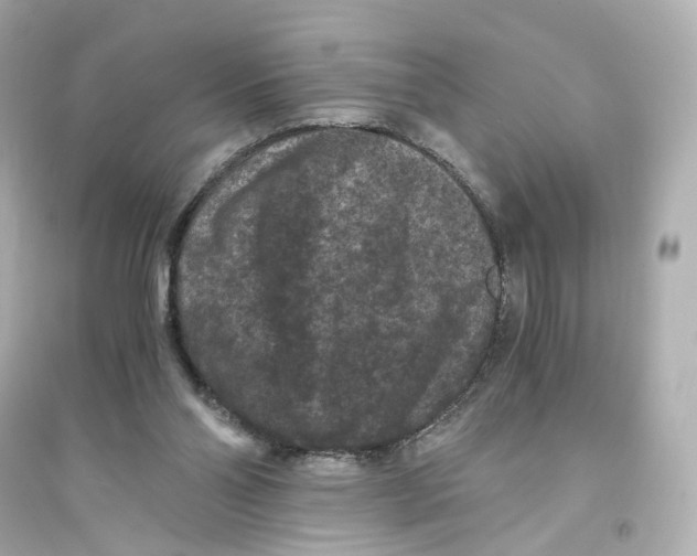 X0000093750110200711131134