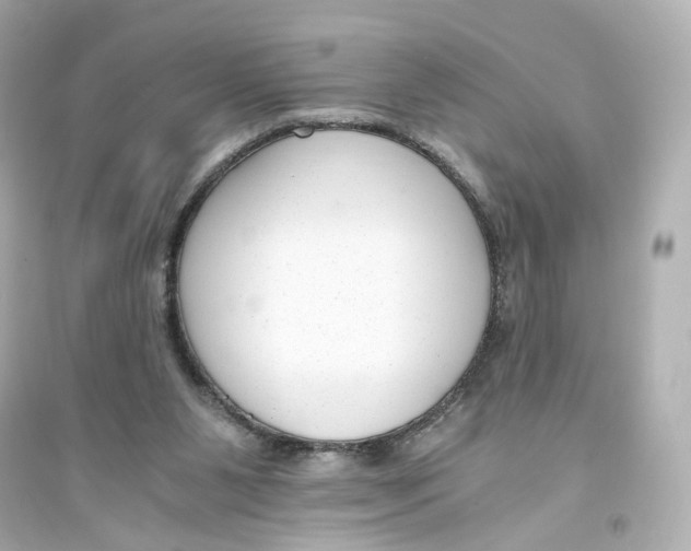 X0000093750111200711131134