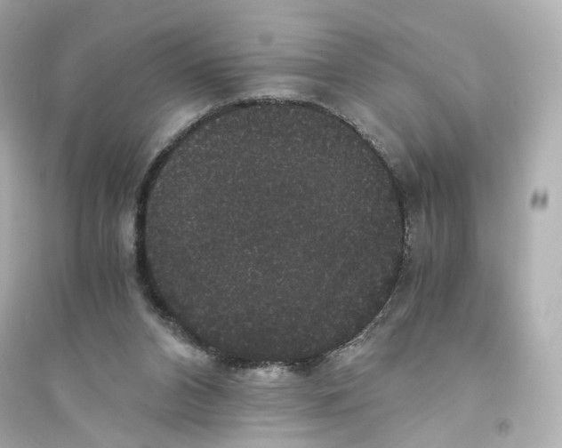 X0000093750112200711131134