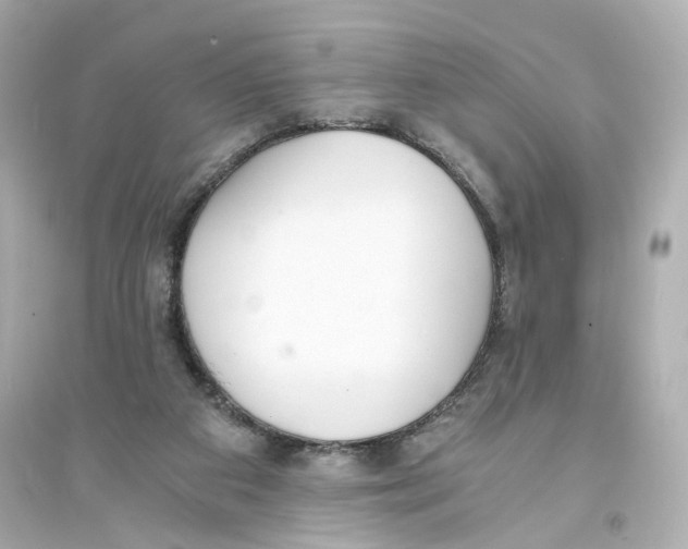 X0000093750113200711131134