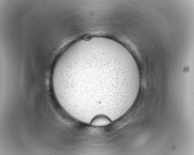 X0000093750115200711131134