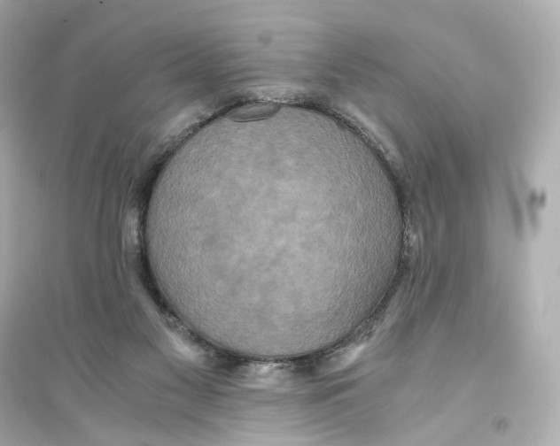 X0000093750117200711131134