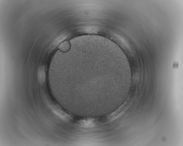 X0000093750120200711131134