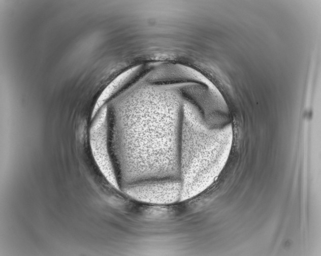 X0000093750123200711131134