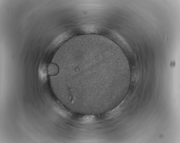 X0000093750124200711131134