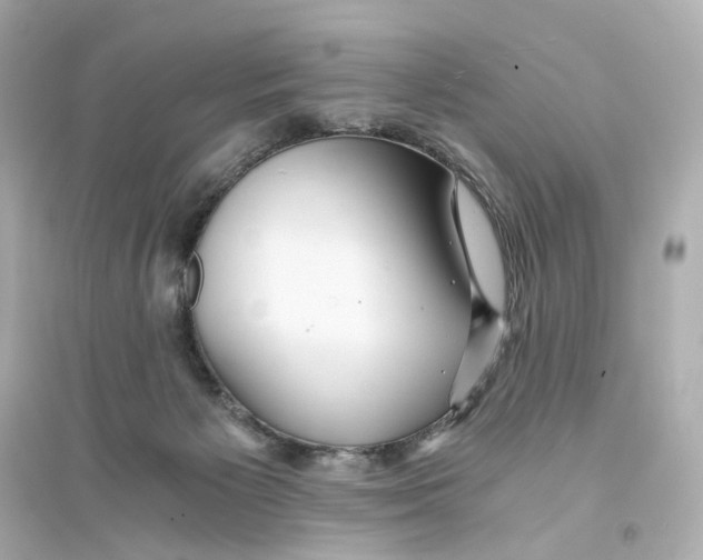 X0000093750125200711131134