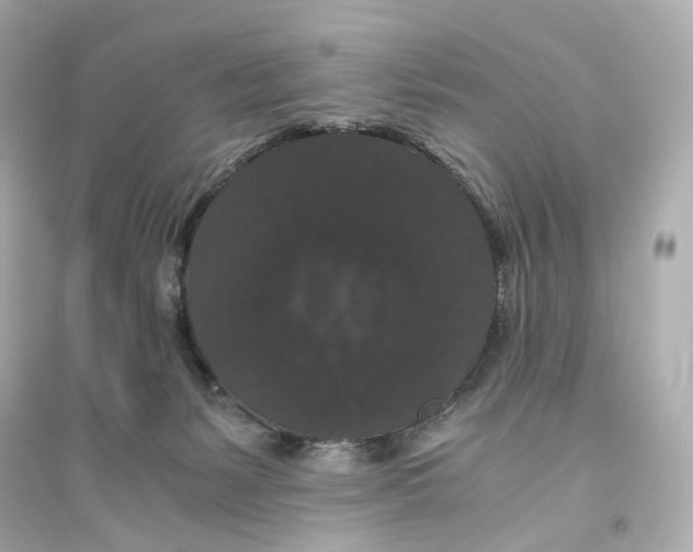 X0000093750127200711131134