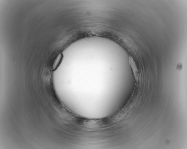 X0000093750129200711131134