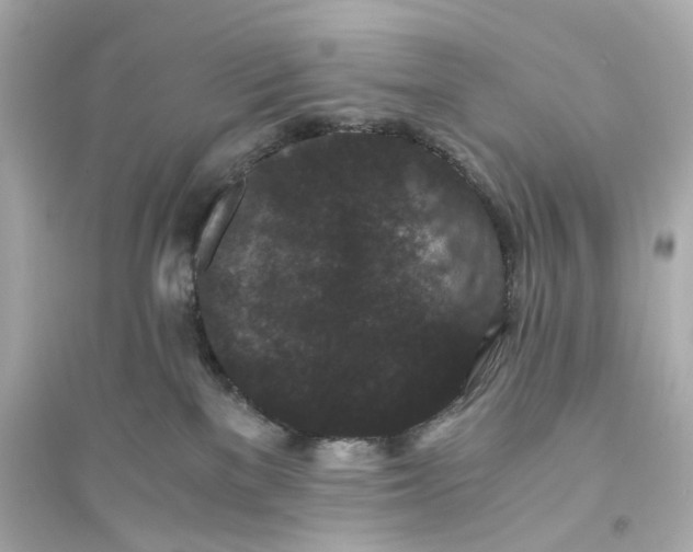 X0000093750137200711131134