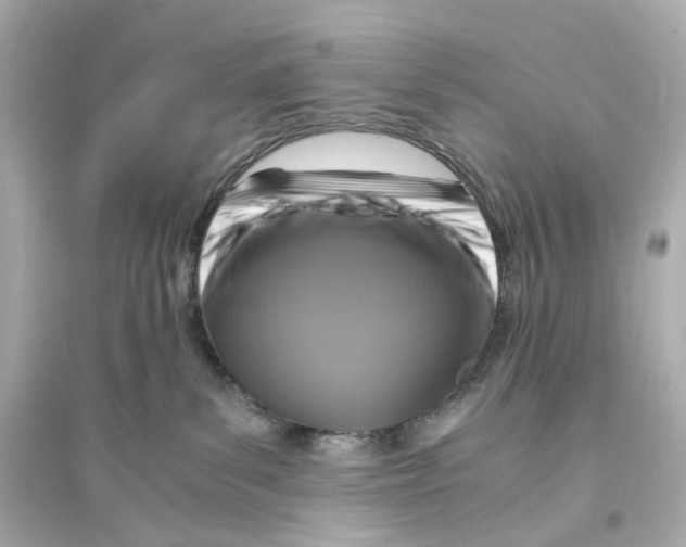 X0000093750139200711131133