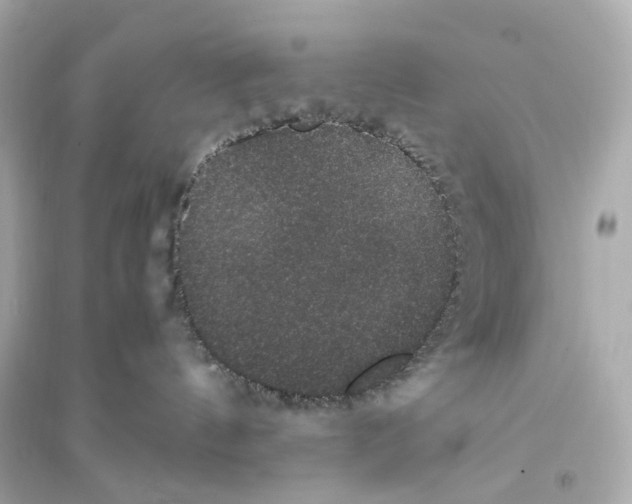 X0000093750144200711131133