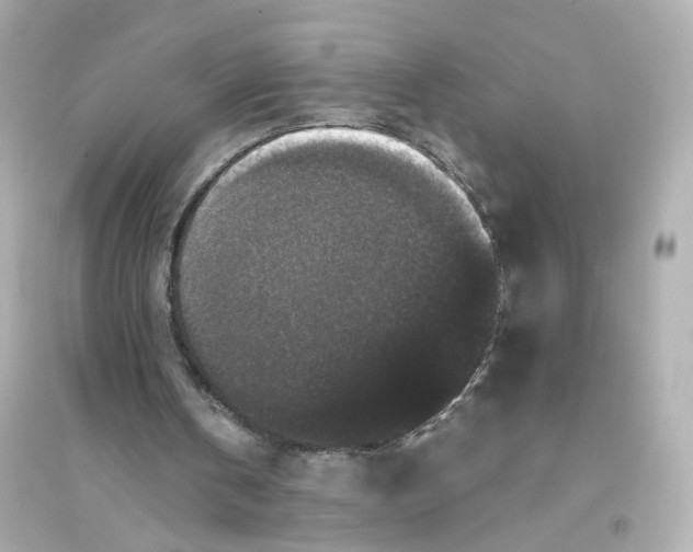 X0000093750146200711131133