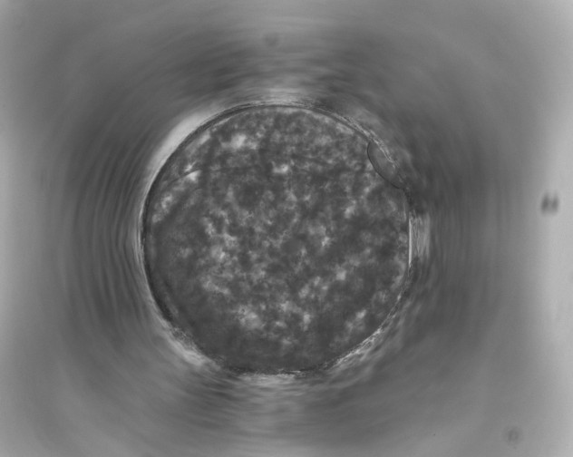 X0000093750147200711131133