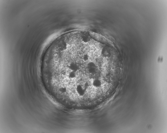 X0000093750149200711131133