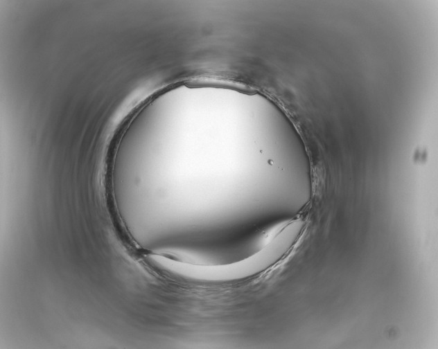 X0000093750150200711131133