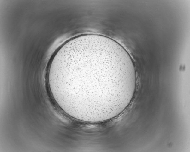 X0000093750151200711131133