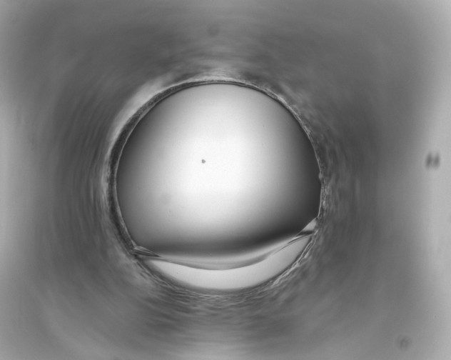 X0000093750152200711131133