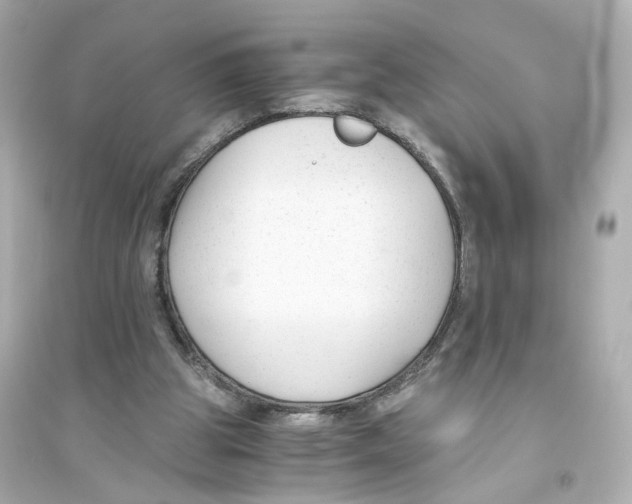 X0000093750153200711131133