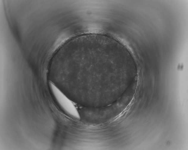 X0000093750154200711131133