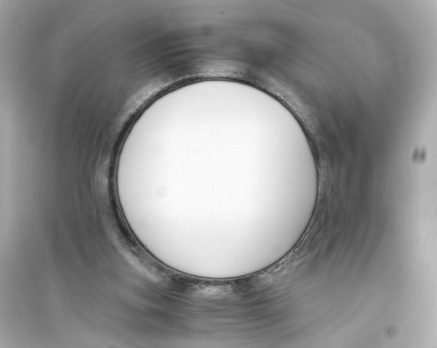 X0000093750155200711131133