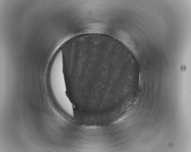 X0000093750156200711131133