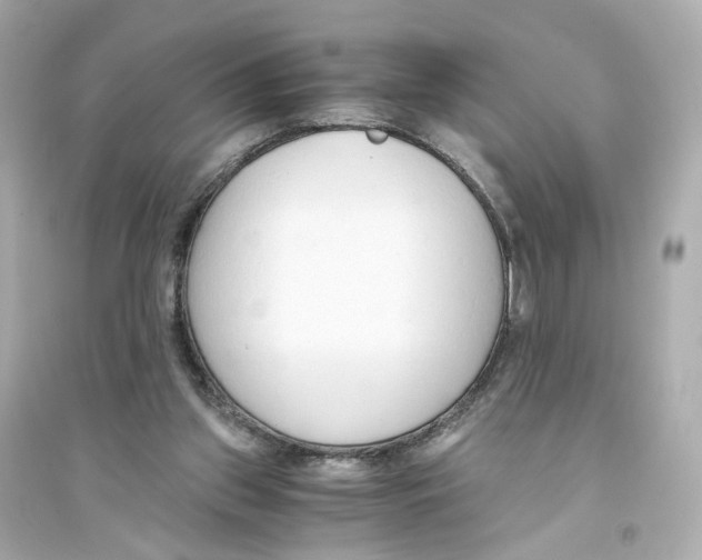 X0000093750157200711131133