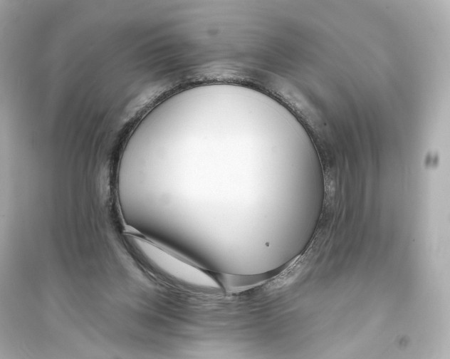 X0000093750158200711131133