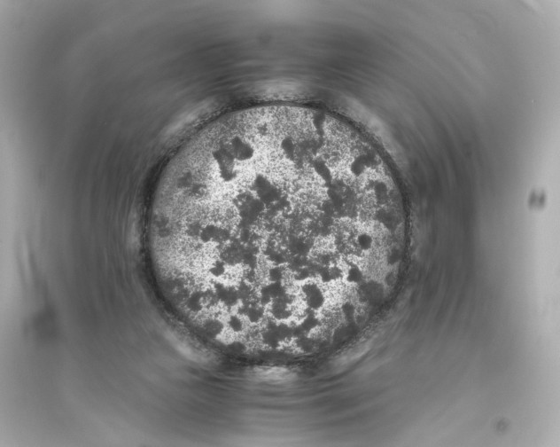 X0000093750161200711131133