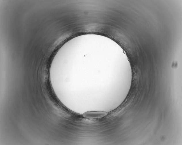 X0000093750164200711131133