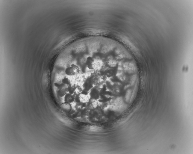 X0000093750165200711131133